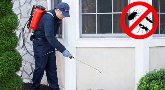 Gölköy Sivrisinek İlaçlama böcek ilaçlama ve haşere kontrolü — ilaclama-tr.com